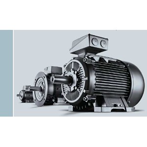 motor listrik 3 phase ( siemens, weg )