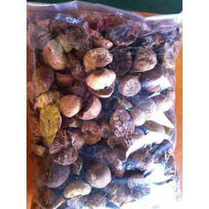 betel nut or pinang