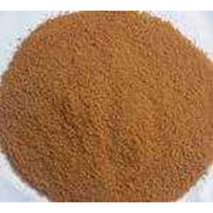 palm sugar powder / gula aren bubuk / 1 kg / rp. 25.000.--5
