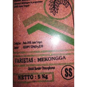 benih padi unggul-3