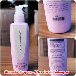kensuko moistening & nutritious shampoo