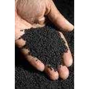 black seed / jinten hitam / nigella sativa / kalonji seed / rp. 100.000.- per kg-2