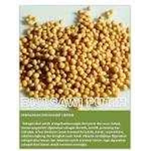 mustard seeds black / biji sawi hitam / rp.70.000.-/ kg-3