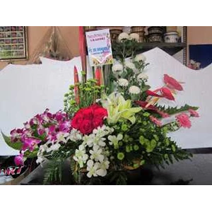 global florist| florist, jual, toko, rangkaian papan, segar, rangkaian ucapan selamat & sukses/ duka cita/ ulang tahun/ wisuda/ valentine/ natal & tahun baru, meja, online, 24 jam : bunga surabaya/ di surabaya- jatim-indonesia-5