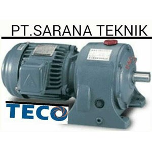 teco gear motor, teco inverter, & teco induction motor-4