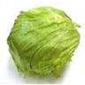 head lettuce-1