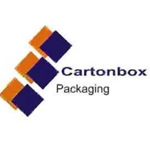 carton box-4