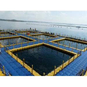 kolam renang apung dari modular float system kubus - ponton apung