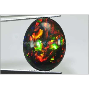 super top quality black opal/ kalimaya, sangat langka - bop 019