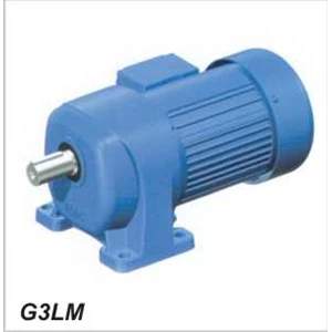 mini helical gearbox g3lm & g3fm
