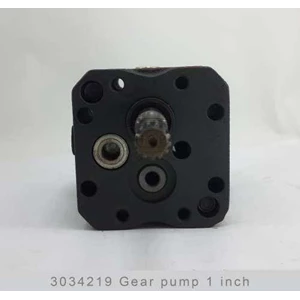 3034219 gear pump 1 inch-2