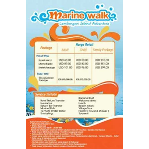 marine walk lembongan island bali-1