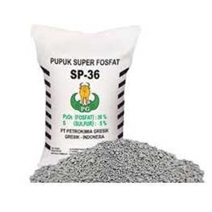 pupuk sp 36