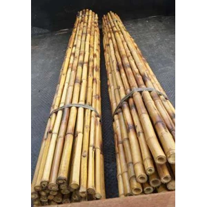 bambu cendani lurus
