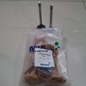 mwm 922984600034 valve exhaust td229