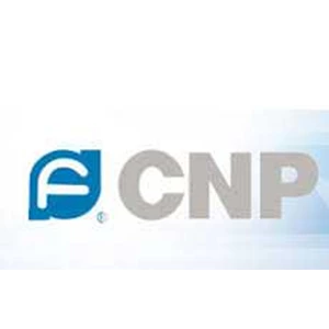 cnp pump-4
