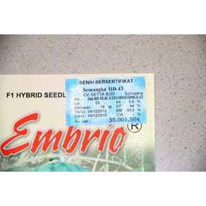 bibit semangka embrio f1 hybrid seedless watermelon ( hd43)-3