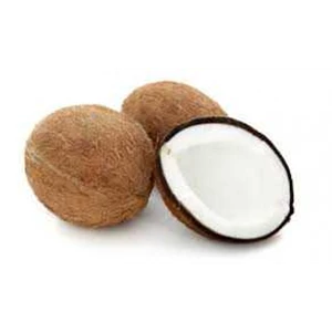 kelapa siap suplply hingga 2 ton per minggu-1