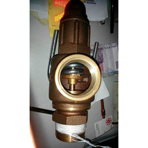 safety valve-1