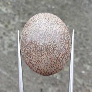 batu akik sarang semut antik-2