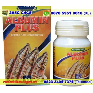 albumin ikan gabus, albumin ikan kutuk-2