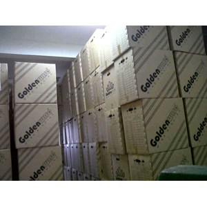 kawat spiral kalender golden wire 5/ 16-1