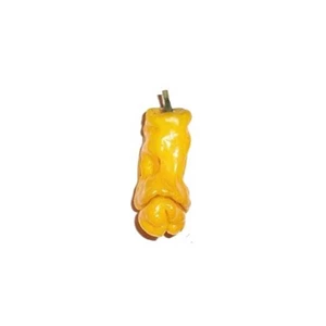 benih cabe peter( porno) kuning / yellow peter ( porn) pepper ( import)