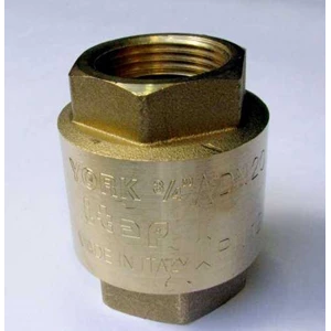 york spring check valve made in italy-1