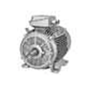 eksplosion proof electric motor - siemens