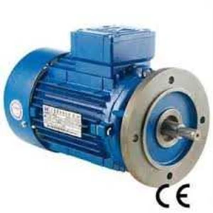 induction motor omega motori-1