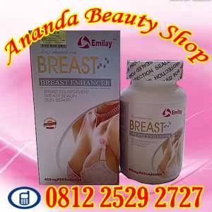 obat pembesar payudara herbal permanen suplemen emilay breast up asli-2