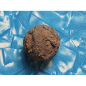 rough jalasutra