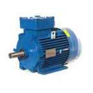 electric motor euromotori-5