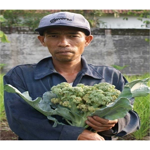 pupuk organik sayur brokoli 1 - 4 kg per bunga-2