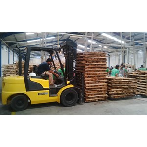 falcata bare core-4