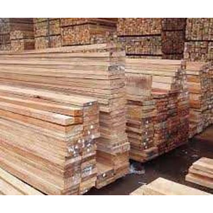 kayu albasiah / harga kayu albasiah-2