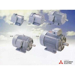 mitsubishi three phase induction motor sf-jrv, sf-jv, sf-jr
