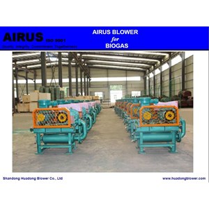 biogas blower-1