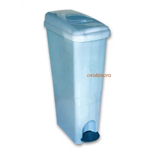 lady bin disposal-1