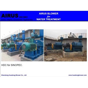 airus roots blower