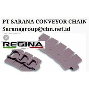 regina tabletop chain pt sarana conveyor belt chain-1