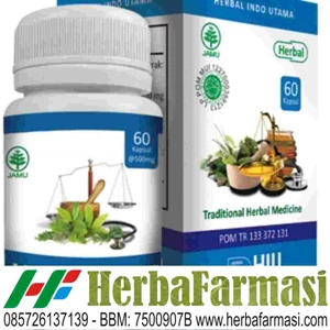 obat herbal herpatitis – jogja, hiu hepafit herbal indo utama