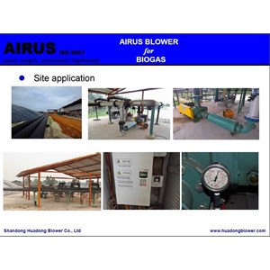 roots blower airus-4