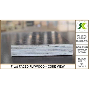 film faced plywood - phenolic - tego-5