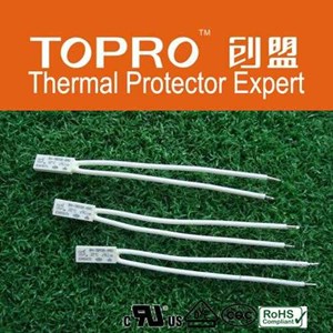 klixon thermal protector