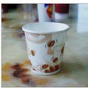 paper cup, gelas plastik pp & pet-1
