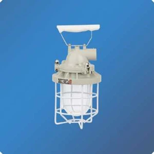 explosion-proof ceiling lamp / lampu tangki-3