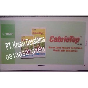 signage impraboard