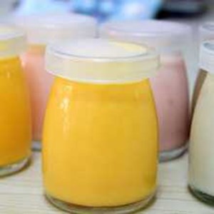 toples botol ukuran short 100 ml