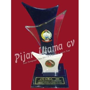 trophy lomba desa sulsel-4